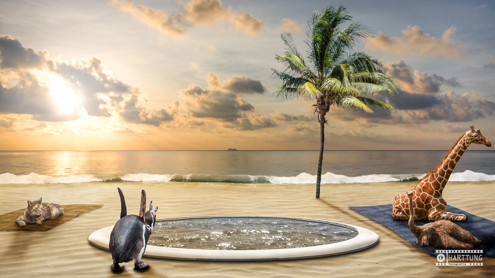 Tiere im Urlaub